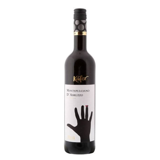 Käfer Montepulciano d'Abruzzo, Abruzzen, Italien