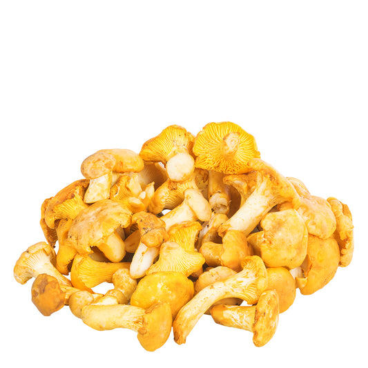 Pfifferlinge