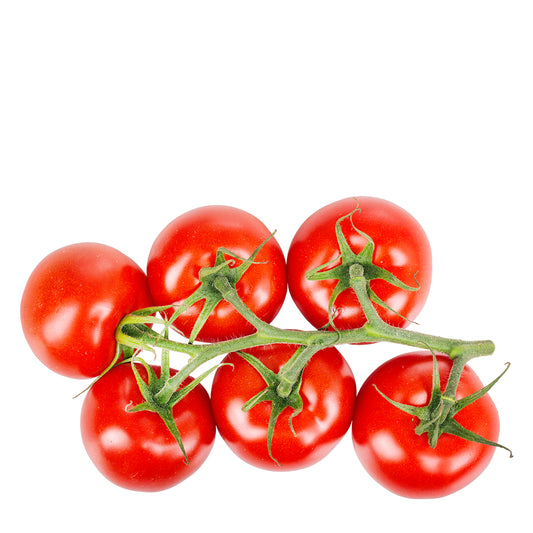 Strauchtomaten
