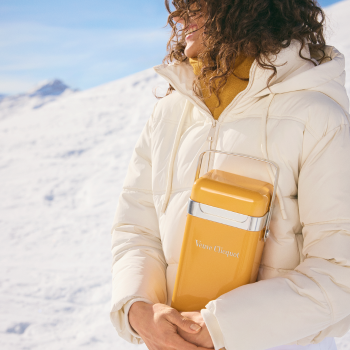 Brut Fridge, Champagne, Frankreich