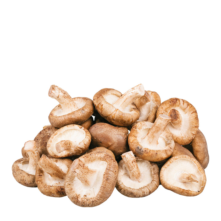 Shiitake