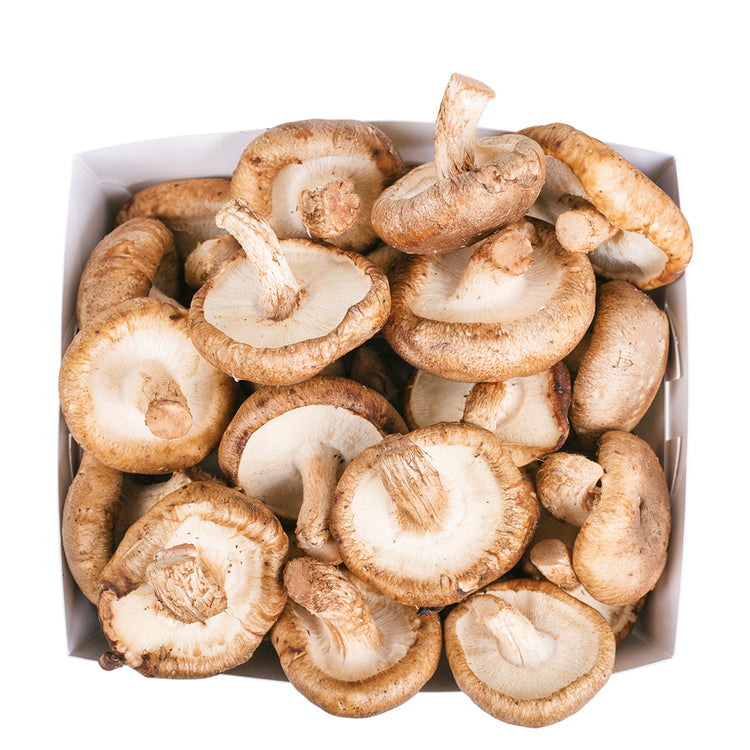 Shiitake