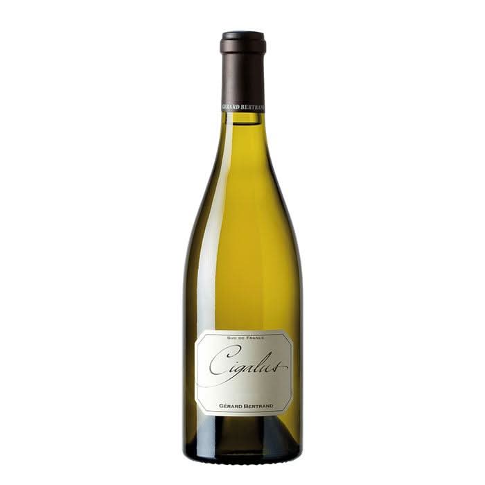 2023 Bio Cigalus Blanc, Languedoc-Roussillon, Frankreich