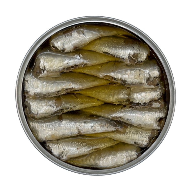Kleine Sardinen in Olivenöl