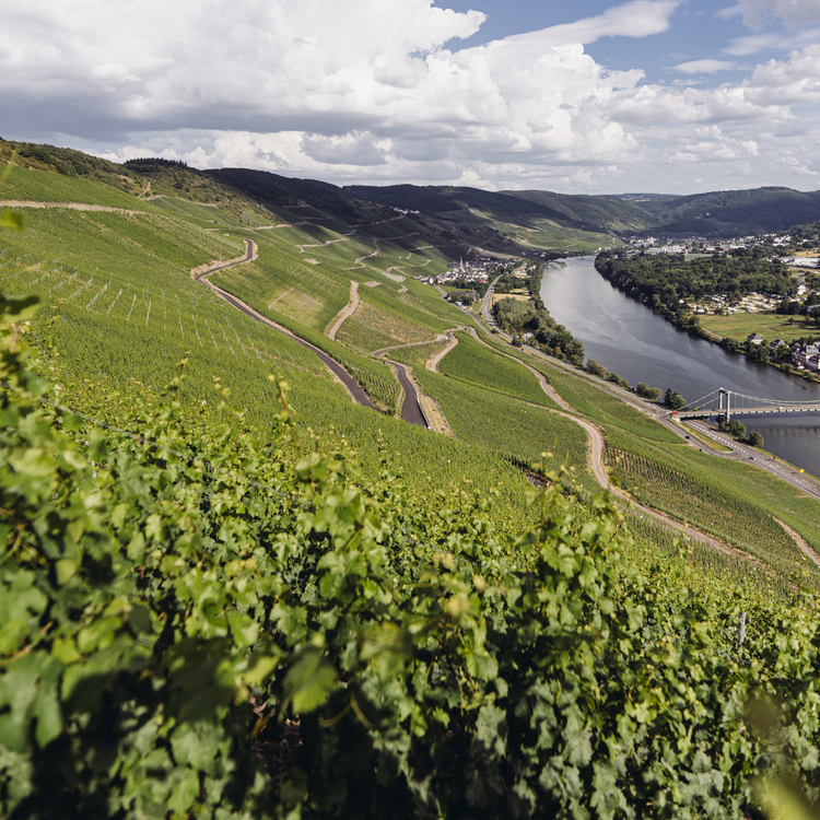 1953 Bernkasteler Doctor Riesling Spätlese, Mosel, Deutschland