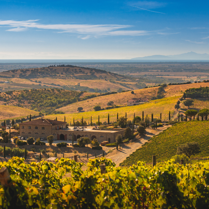 2022 Chianti Classico Riserva, Toskana, Italien