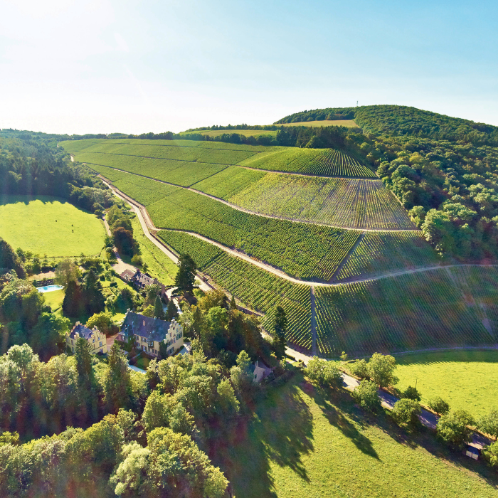 2023 Abtsberg GG Riesling, Mosel, Deutschland