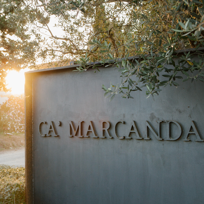 2023 Vistamare, Toskana, Italien